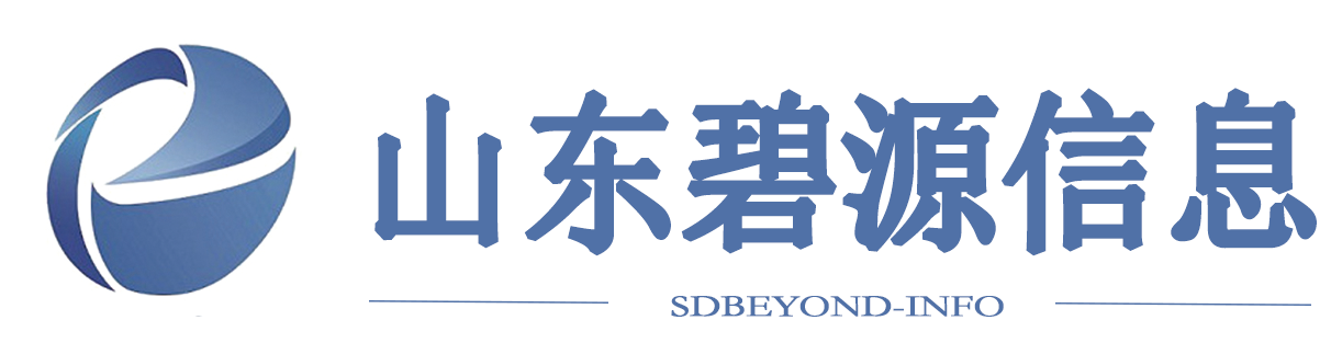 山东碧源信息科技有限公司 