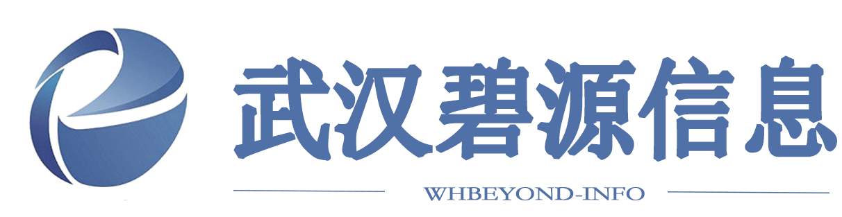 武汉碧源信息科技有限公司